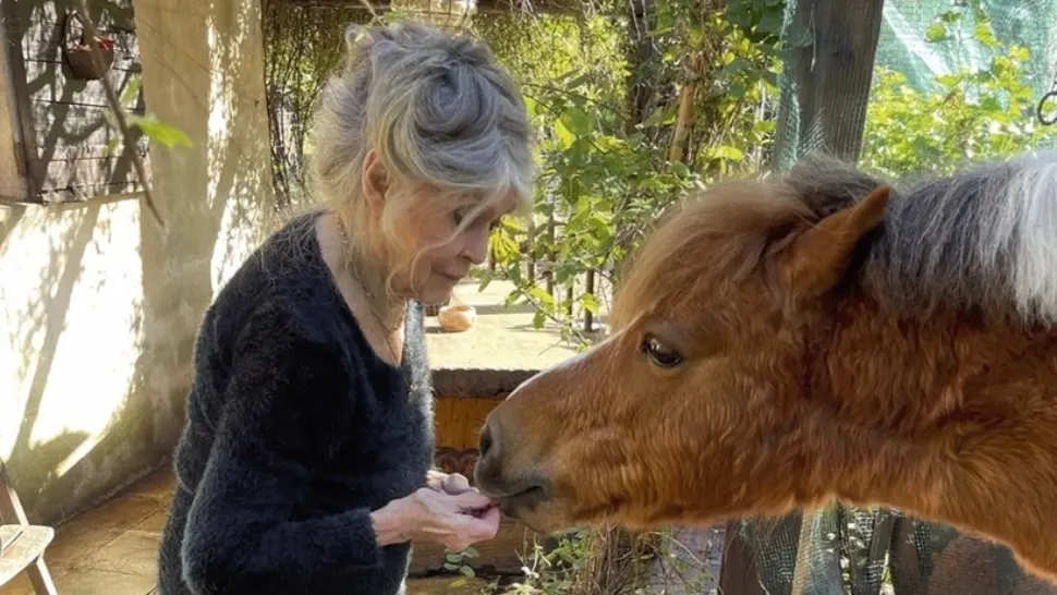 Ultima dorință a lui Brigitte Bardot: va fi înmormântată la Saint-Tropez, alături de animalele pe care le-a iubit