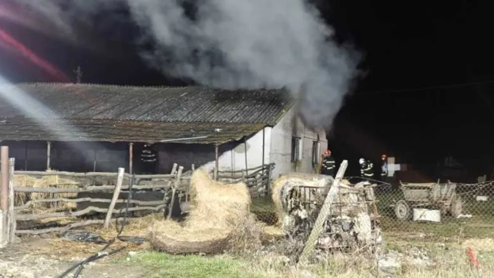 Incendiu suspect la o fermă din Satu Mare. Anchetatorii iau în considerare ca femeia să fi fost incendiată de iubit 