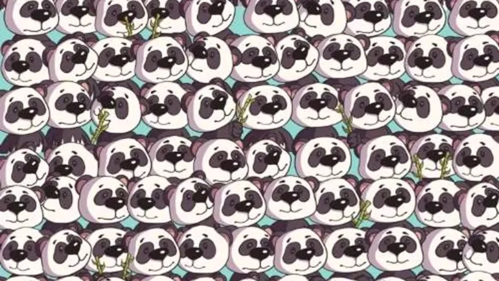 Test IQ pentru românii SMART. Poți găsi câinele ascuns printre urșii panda?