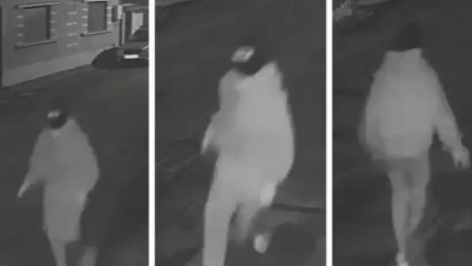 Un tânăr de 19 ani din Bihor a lovit un bătrân de 84 de ani cu o seceră în cap. Victima, între viață și moarte - VIDEO