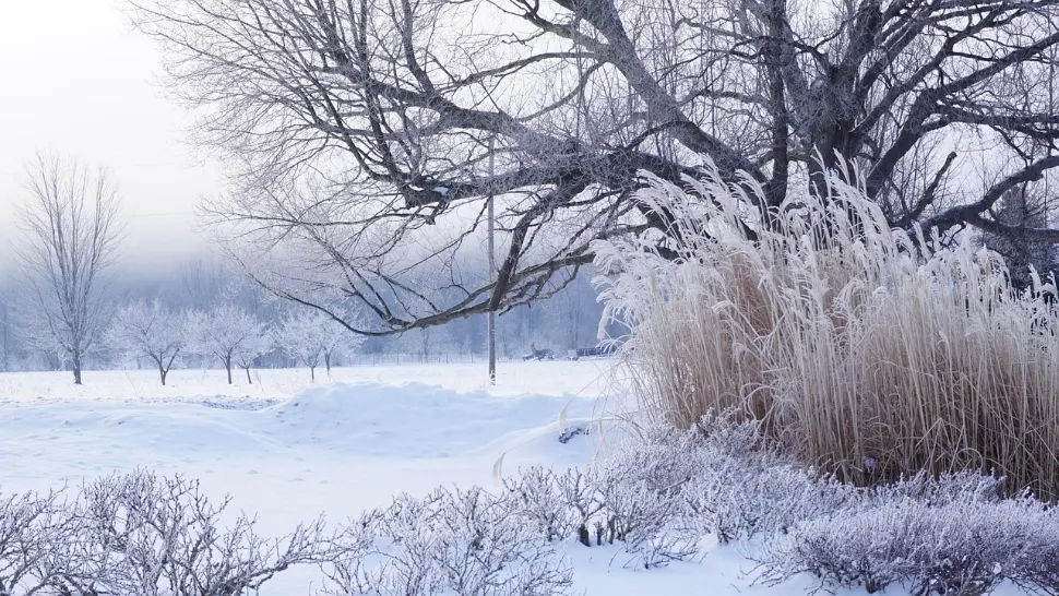 Avertisment meteo pentru februarie: vortexul polar se destabilizează, iar frigul arctic ar putea ajunge în Europa
