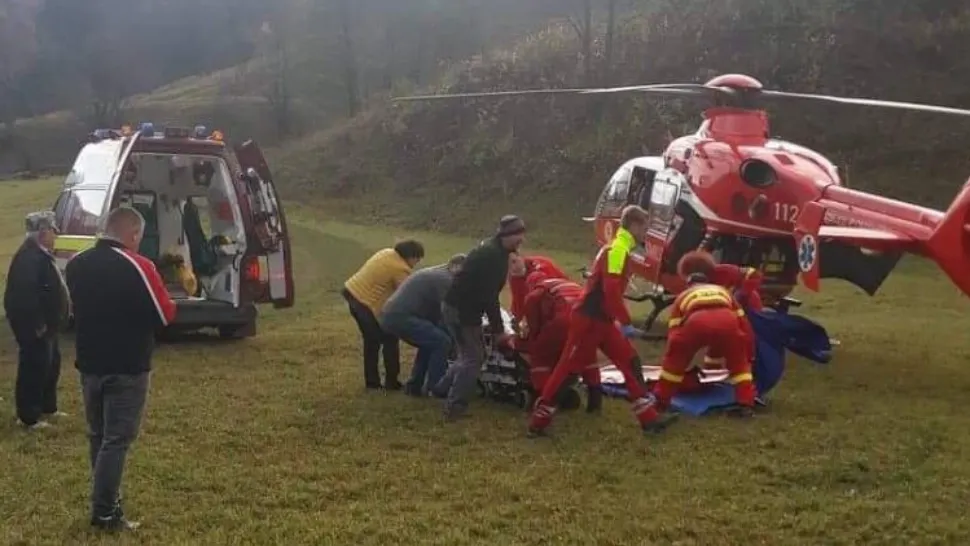 Un copac uriaș s-a prăbușit peste un tânăr în Bistrița-Năsăud. Bărbatul a murit, în ciuda eforturilor medicilor