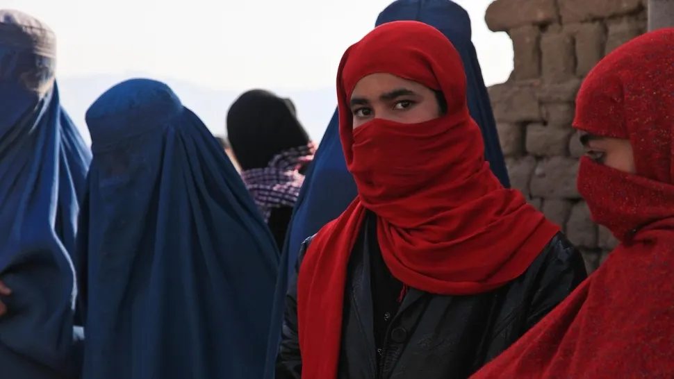 Nou decret taliban, pedepse mai dure pentru cruzimea față de animale decât pentru violența domestică. Femeile - pe ultimul loc