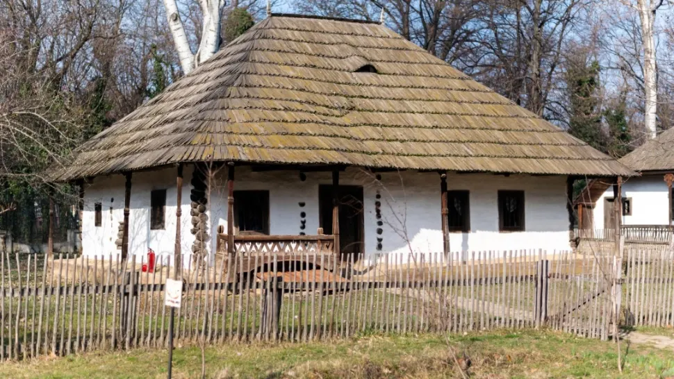 Primăriile au demarat controale. Românii care stau la curte pot primi amenzi de până la 5.000 de lei