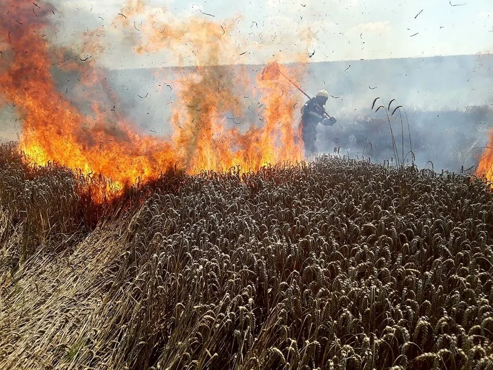 Tragedie în Spania: 12 oameni au murit într-un incendiu de pădure. Unele victime au fost găsite în mașini