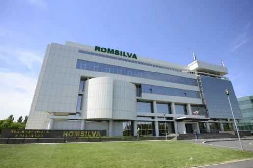 Romsilva respinge acuzațiile Dianei Buzoianu: „Nu am acordat prime din 2023 până în prezent”