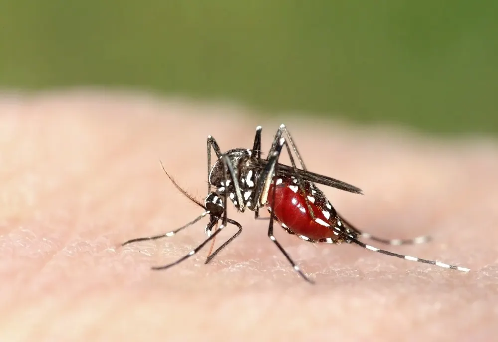 Alertă sanitară în Grecia: 13 decese și 157 de cazuri de West Nile. Zonele cele mai afectate