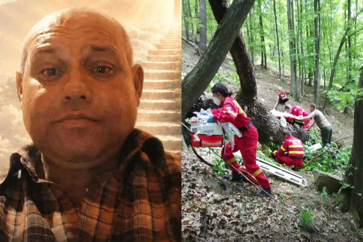 Sfârșit cumplit pentru un bărbat de 48 de ani. A murit după ce un copac s-a prăbușit peste el în timp ce aduna lemne