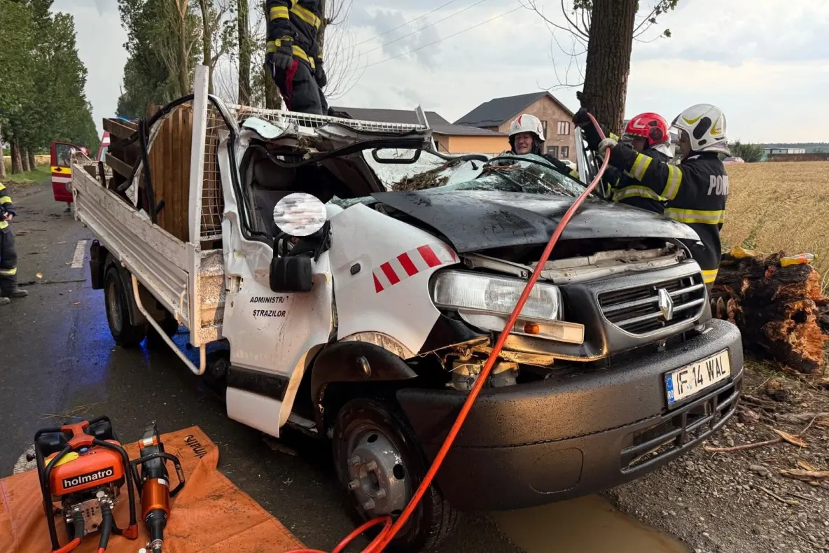 Vremea a făcut ravagii în România: bărbat mort după ce un copac a căzut peste o mașină în timpul furtunii