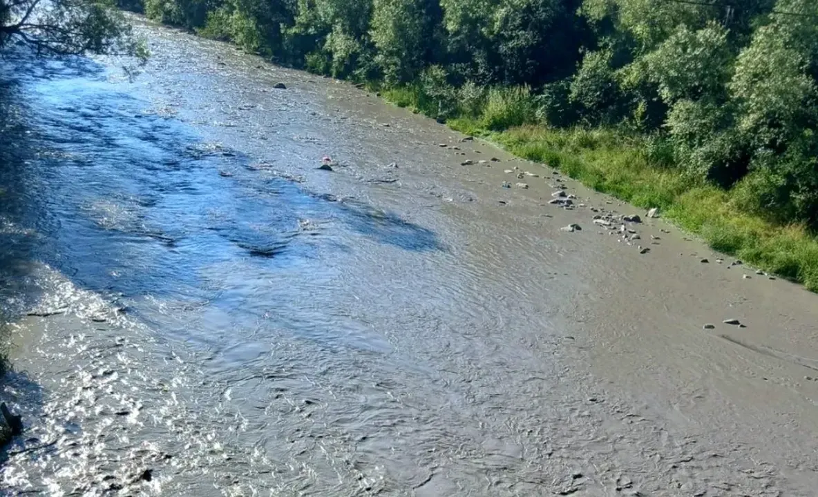 Poluare gravă pe Jiu. Cenușa ajunsă în râu ar fi afectat fauna și flora