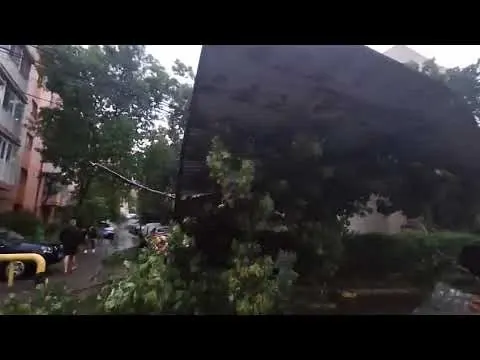 Furtuna a făcut ravagii în Buzău. Copaci prăbușiți, acoperișuri smulse și intervenții de urgență ale pompierilor