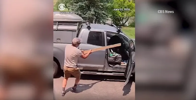 Urs, găsit de proprietarul unei mașini pe scaunul din dreapta