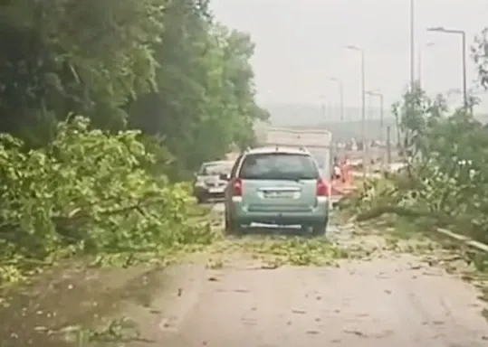 Furtuna a făcut prăpăd în Bistrița-Năsăud. Copaci puși la pământ, un stâlp de înaltă tensiune lovit de fulger - VIDEO