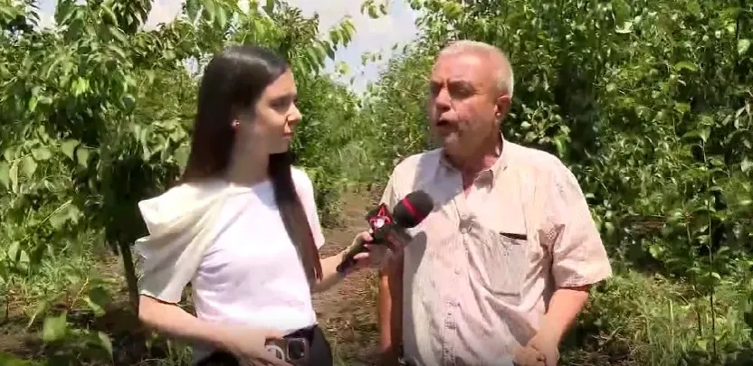 Agricultura, aproape de colaps. Mesajul fermierilor români - REPORTAJ REALITATEA PLUS