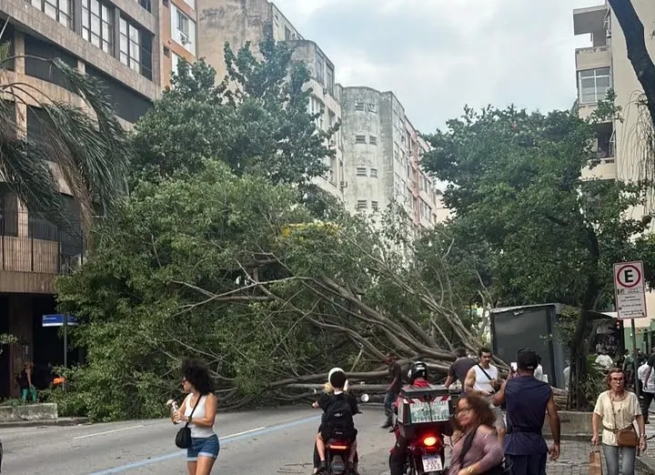 Furtună violentă în Rio de Janeiro și São Paulo: cinci oameni au murit, iar rafalele de peste 100 km/h au paralizat transportul - VIDEO