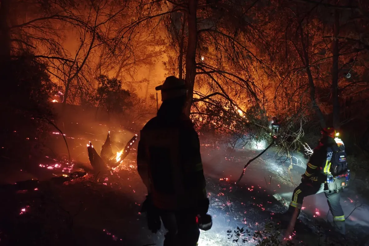 Pompierii români, la prima intervenție în Franța: au ajutat la stingerea unui incendiu de pădure