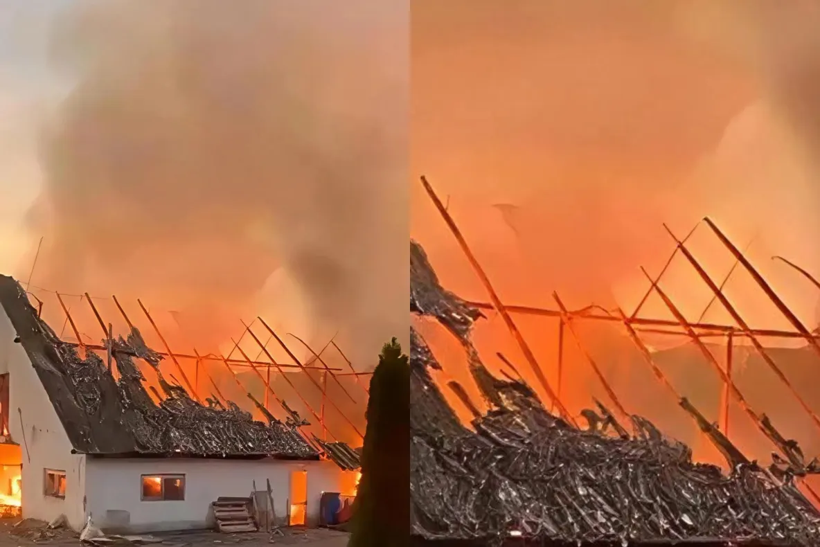 Incendiu devastator la o fermă din Suceava. Peste 1.000 de păsări și mai multe animale au murit în flăcări