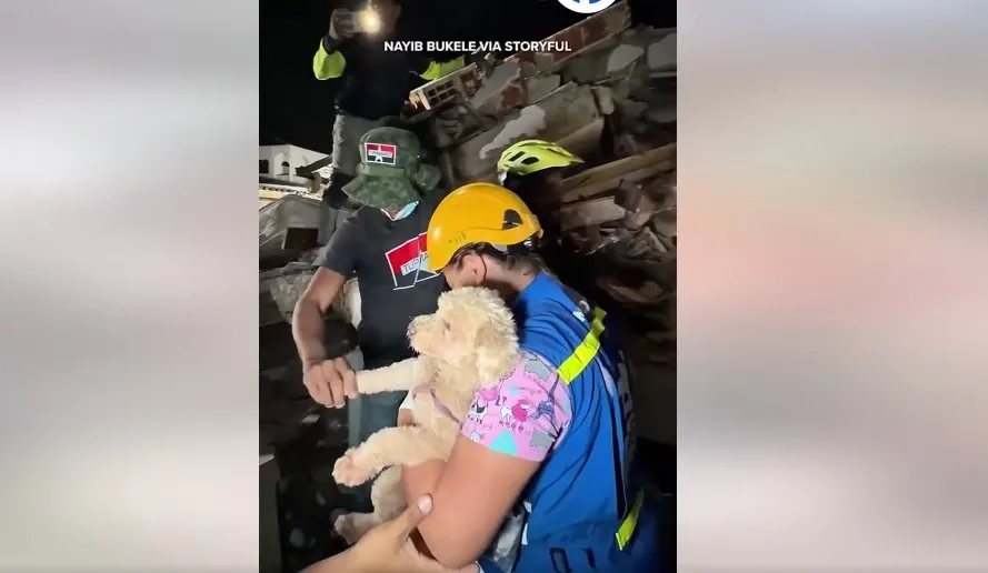 Povestea unei salvări miraculoase: Cum a supraviețuit o cățelușă sub dărâmături în Venezuela VIDEO