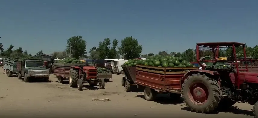 Realitatea PLUS, alături de fermierii umiliți de stat. Scumpirile și importurile îngroapă agricultura românească