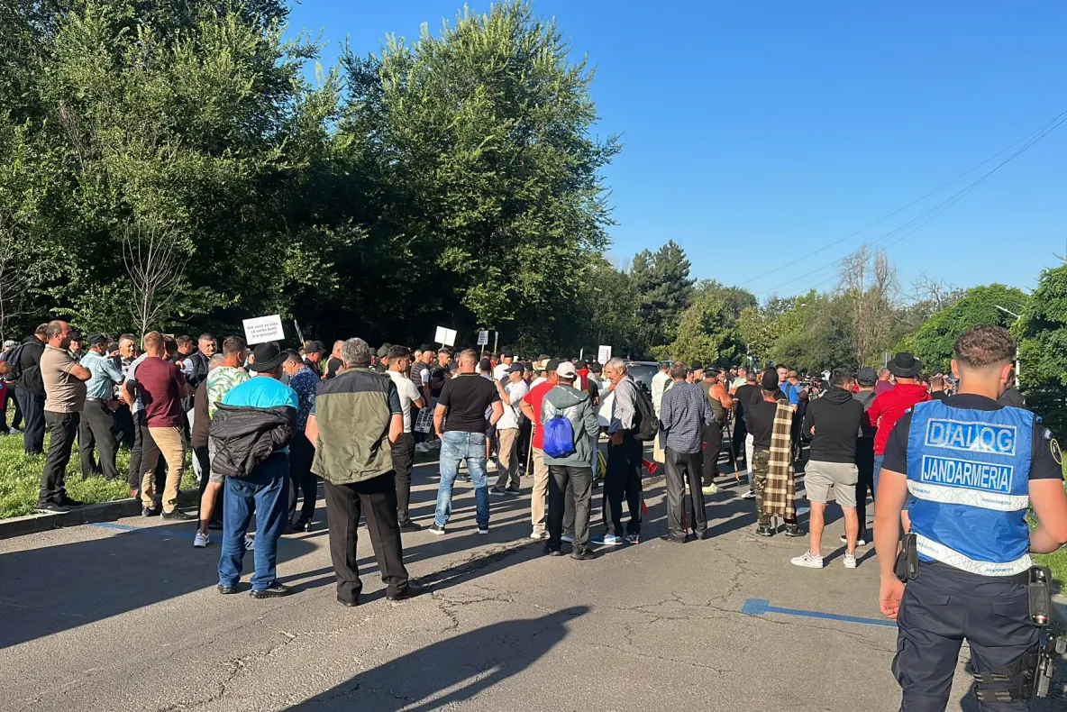 Mii de fermieri își strigă disperarea azi, în București. Agricultorii îi acuză pe guvernanți că îi aduc în sapă de lemn
