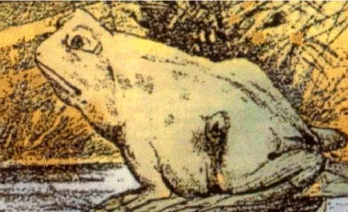 Iluzie optică virală: poți descoperi al doilea animal din imagine? Doar cei foarte atenți reușesc