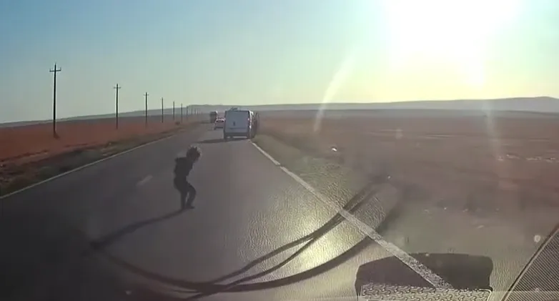 Un copil a căzut dintr-o dubă aflată în mers. Șoferul din spate a reușit să oprească la timp - VIDEO