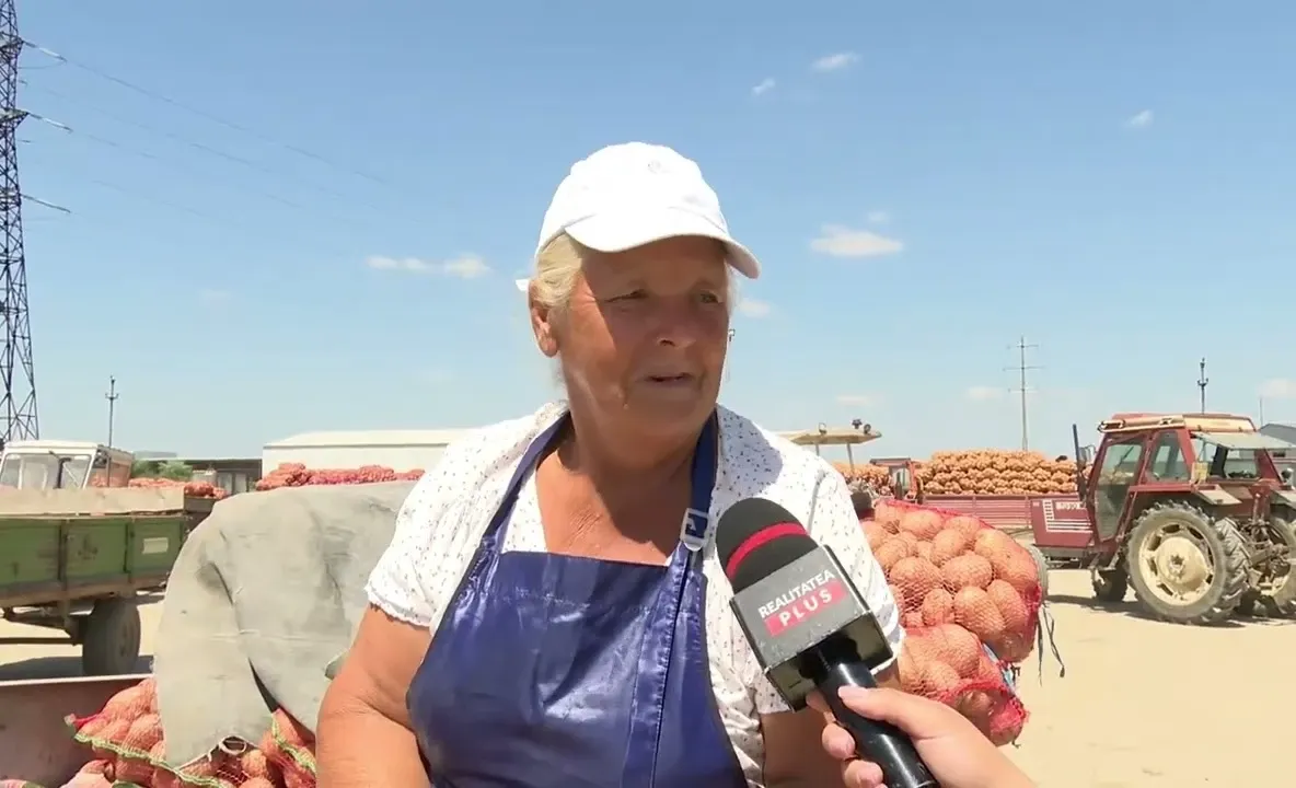 Drama fermierilor români: un kilogram de cartofi se vinde cu doar 30 de bani: „Prețul carburanților ne distruge!”