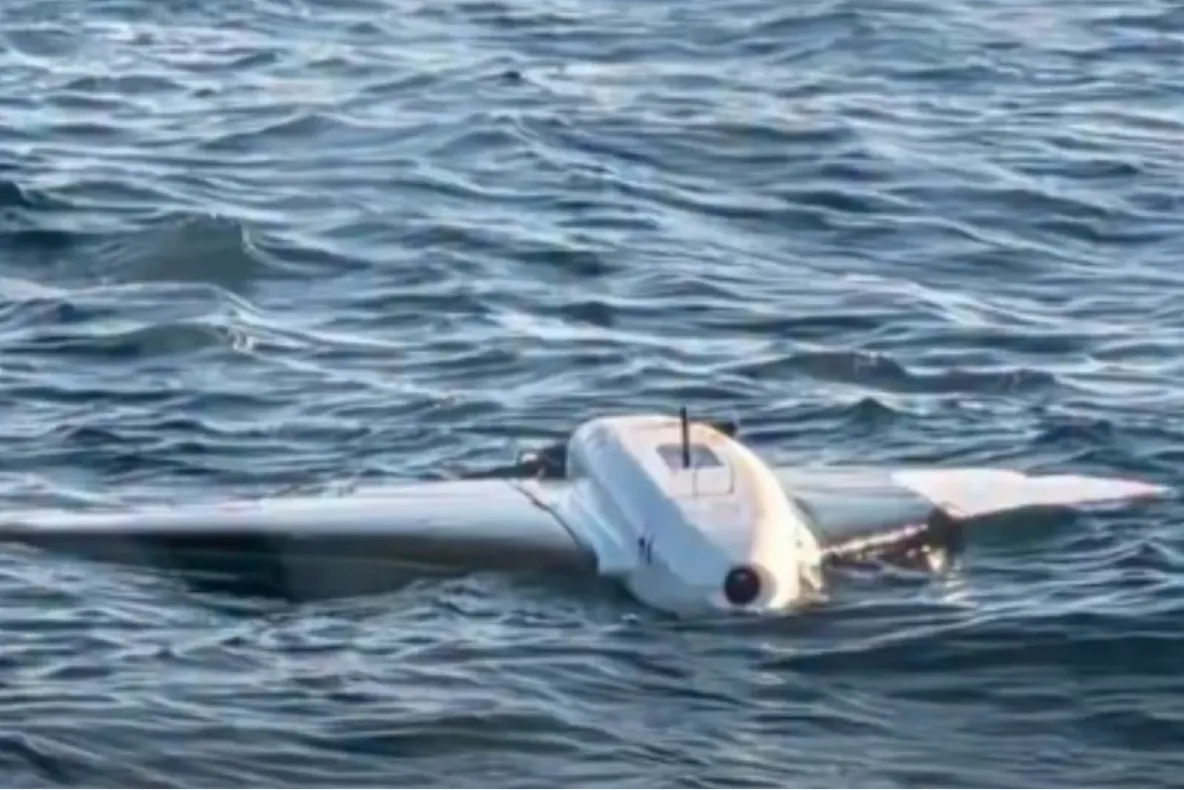 Șeful Forțelor Navale confirmă ce drone au fost distruse lângă Neptun Deep. „Au fost drone Gerbera, drone rusești”