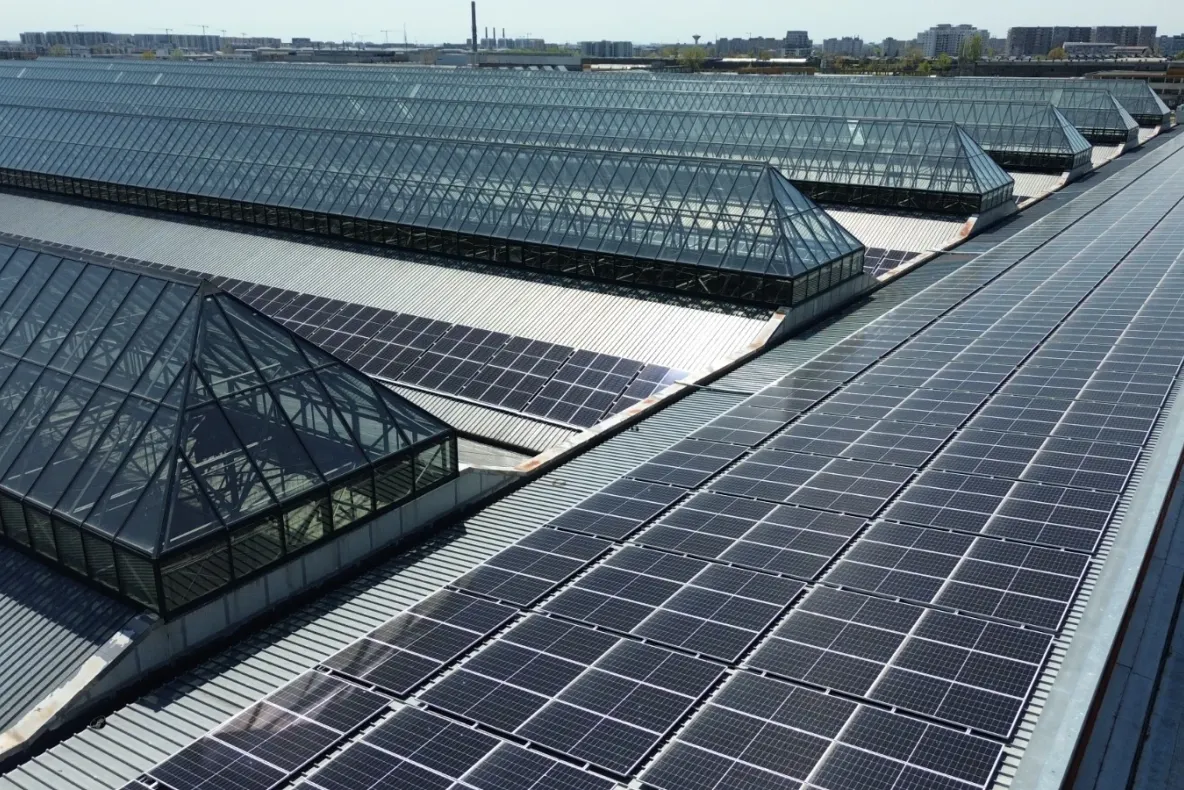 Bulgaria investește masiv în stocarea energiei. România se confruntă cu scăderea producției interne și apelează la importuri