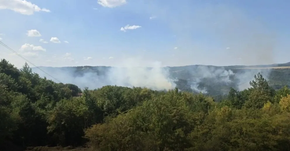  Incendiu urmat de explozii la o uzină militară din Bulgaria. Aproximativ 300 de muncitori au fost evacuați