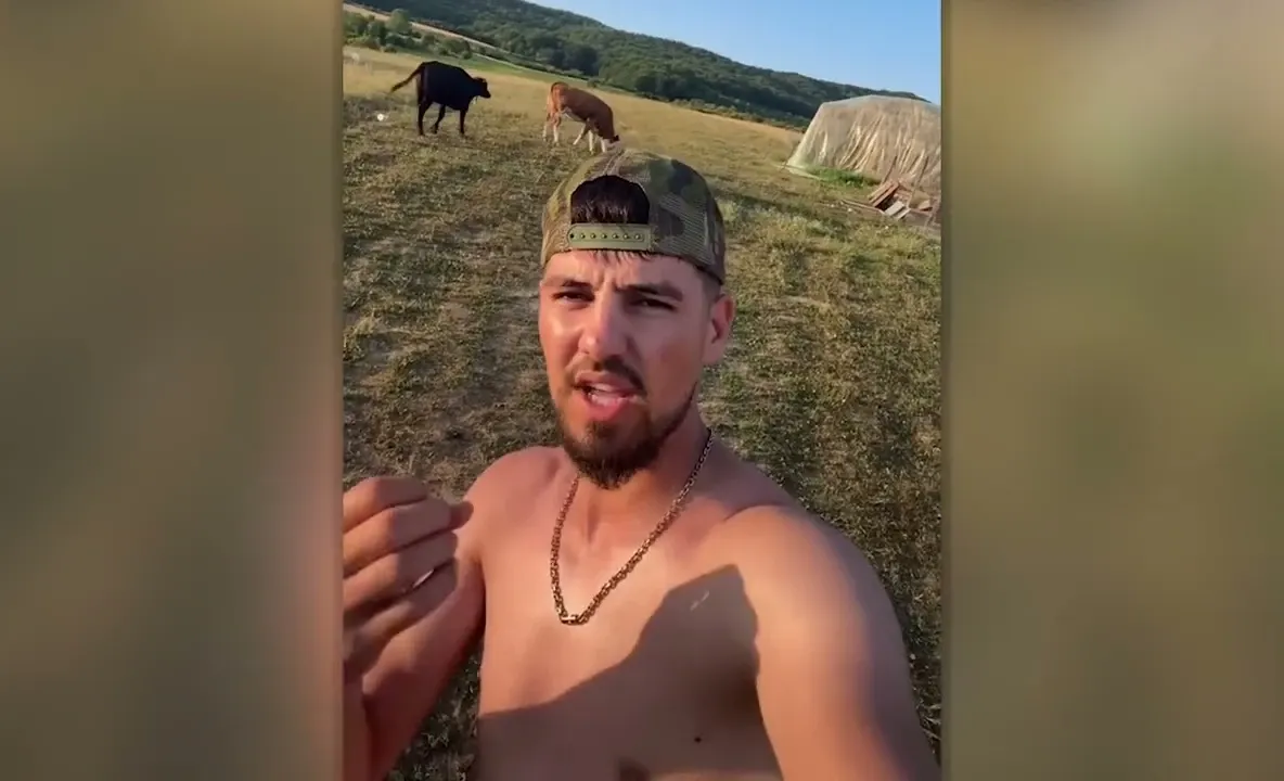 Strigătul unui tânăr fermier: „Vai de noi unde am ajuns”. Laptele pleacă ieftin din fermă și ajunge la prețuri uriașe pe raft