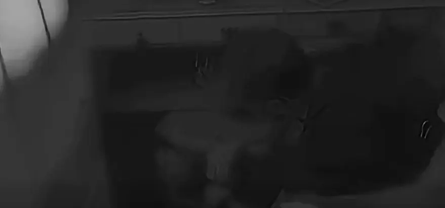 Primele imagini cu momentul în care fetița de 11 ani este găsită. Părinții se întreabă de ce s-a ascuns în dulap