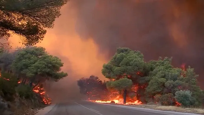 Europa, în flăcări! Valul de incendii a ajuns și în Olanda: imagini apocaliptice VIDEO