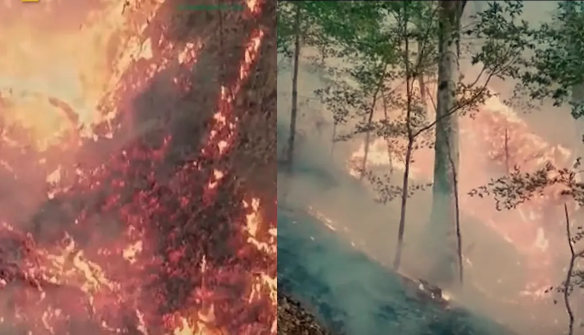 Incendii devastatoare în pădurile din Caraș-Severin. Focul a ajuns în apropiere de stațiunea Băile Herculane - VIDEO
