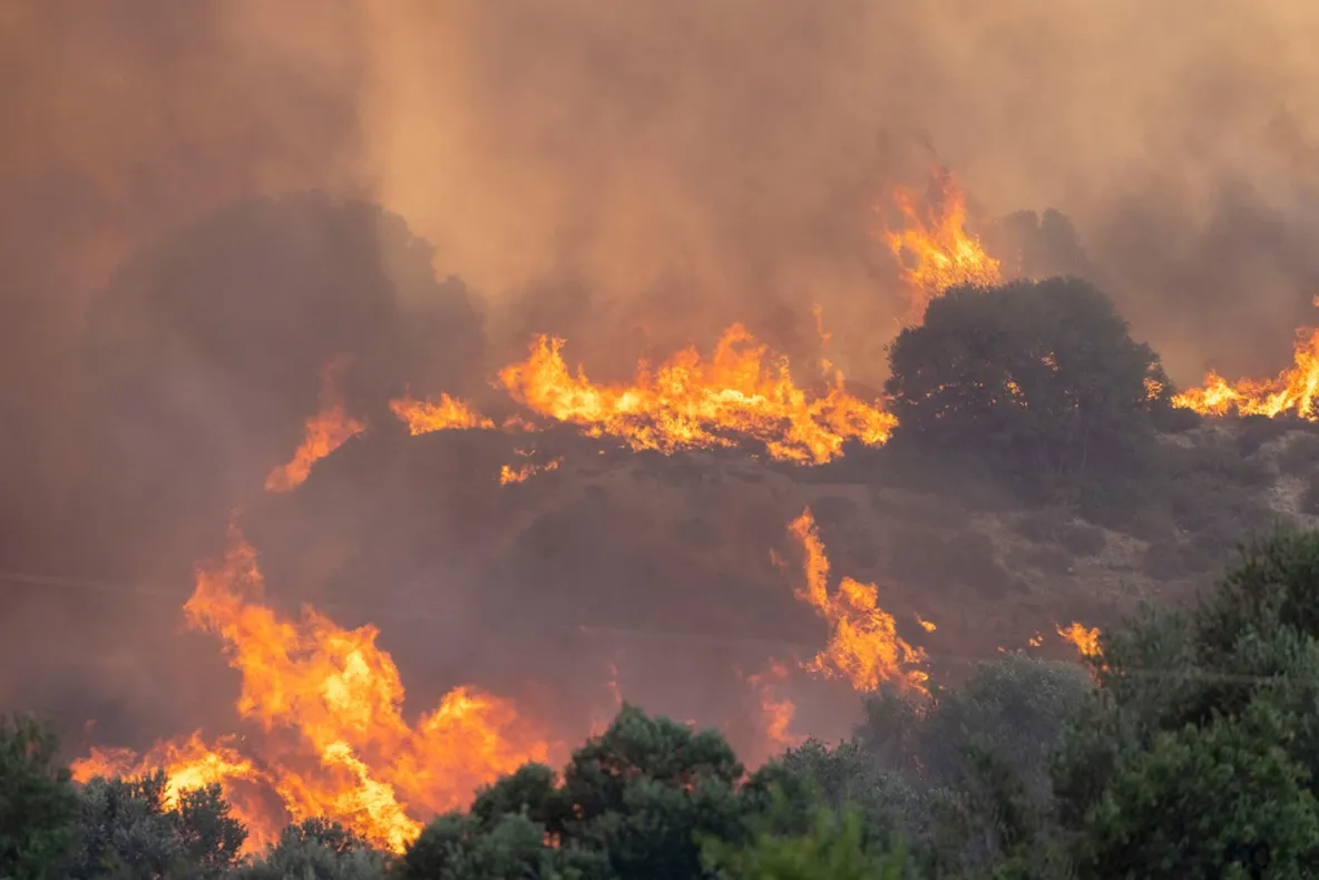 Incendii masive de vegetație în Serbia. Fumul a ajuns până în capitala Bulgariei
