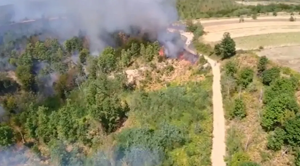 Incendii de vegetație de amploare în județul Timiș: peste 290 de hectare afectate. Pompierii se luptă cu flăcările de peste 12 ore VIDEO
