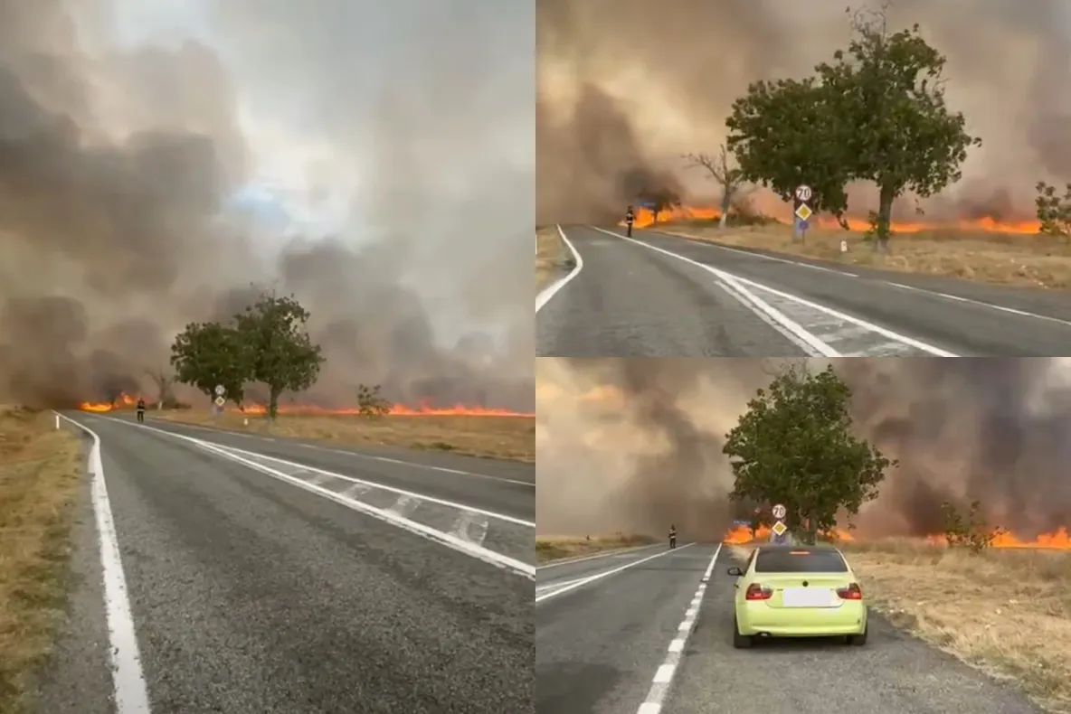 Incendiu de vegetație cu mai multe focare active în județul Gorj. Traficul pe DN 67 Târgu Jiu – Horezu este oprit-VIDEO
