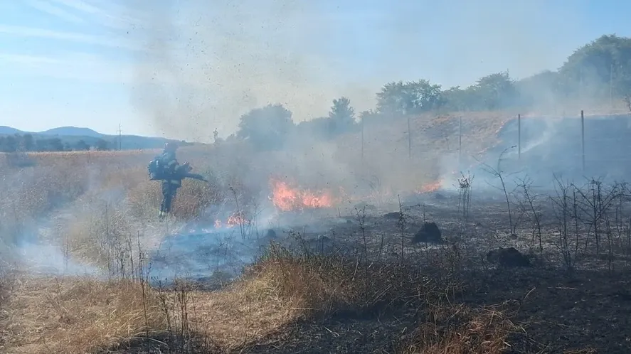 Incendii de vegetație în mai multe județe din România. Zeci de hectare de pădure și terenuri uscate au fost distruse de flăcări