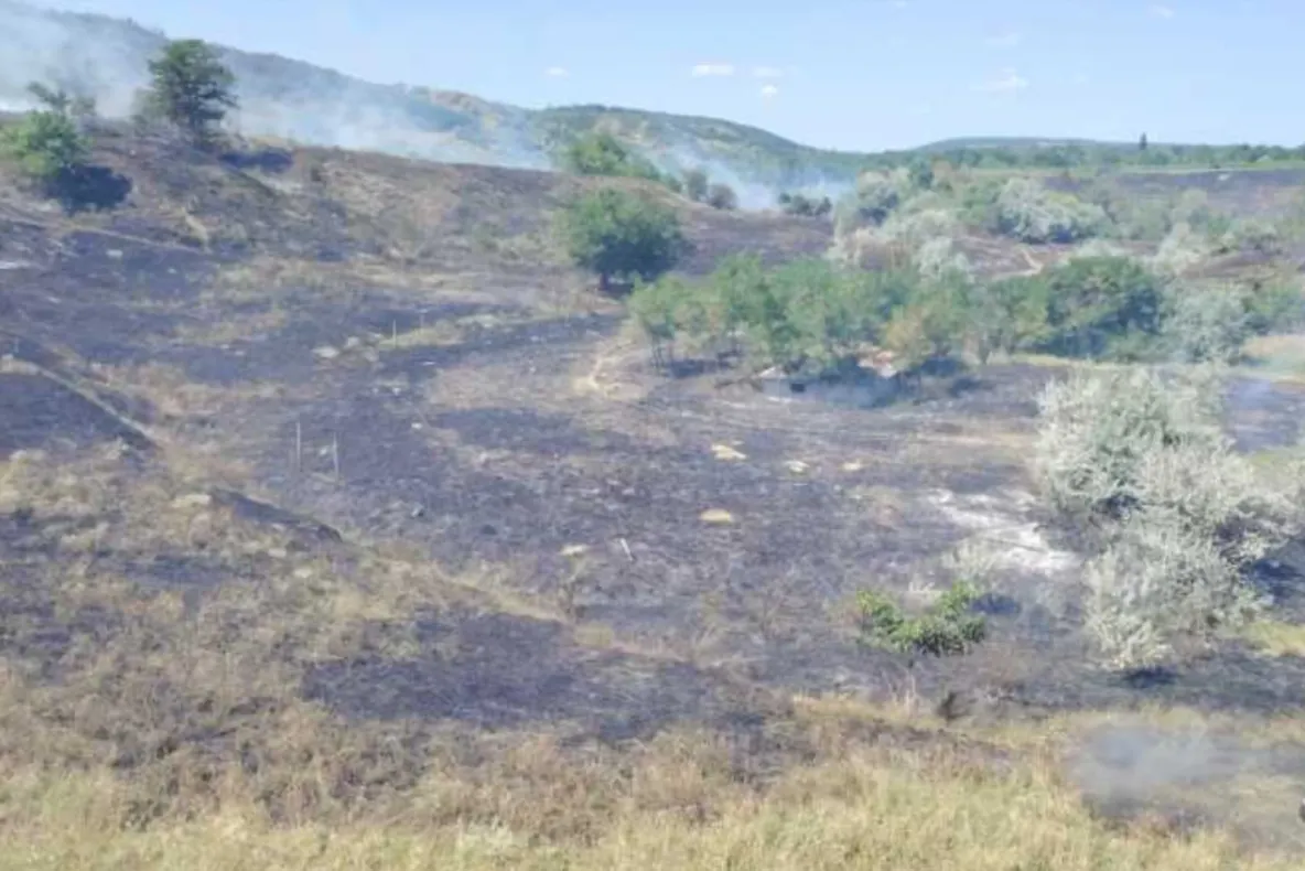 Incendiu de vegetație în Buzau. A fost emis un mesaj RO-Alert din cauza fumului dens