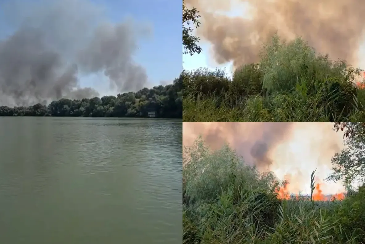 Incendiu puternic în apropiere de Chilia Veche. Flăcările amenință fondul forestier din zona Ostrovului Babina -VIDEO