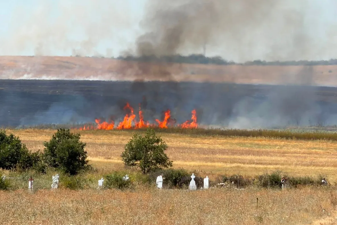 Incendiu de proporții în Mehedinți: hectare de culturi și viță de vie mistuite de flăcări, risc pentru casele oamenilor
