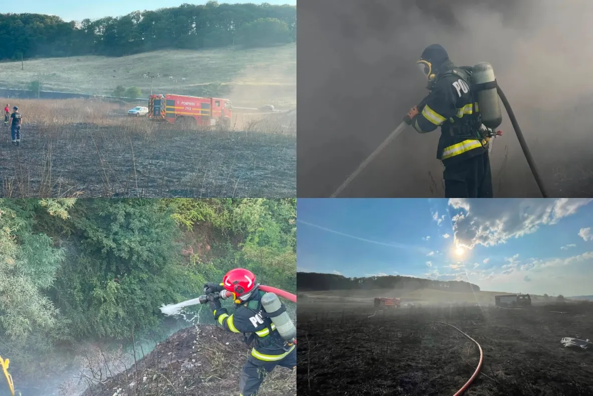 Incendiu de amploare în județul Sibiu. Flăcările au cuprins 10 hectare de vegetație uscată și o groapă de gunoi dezafectată-FOTO