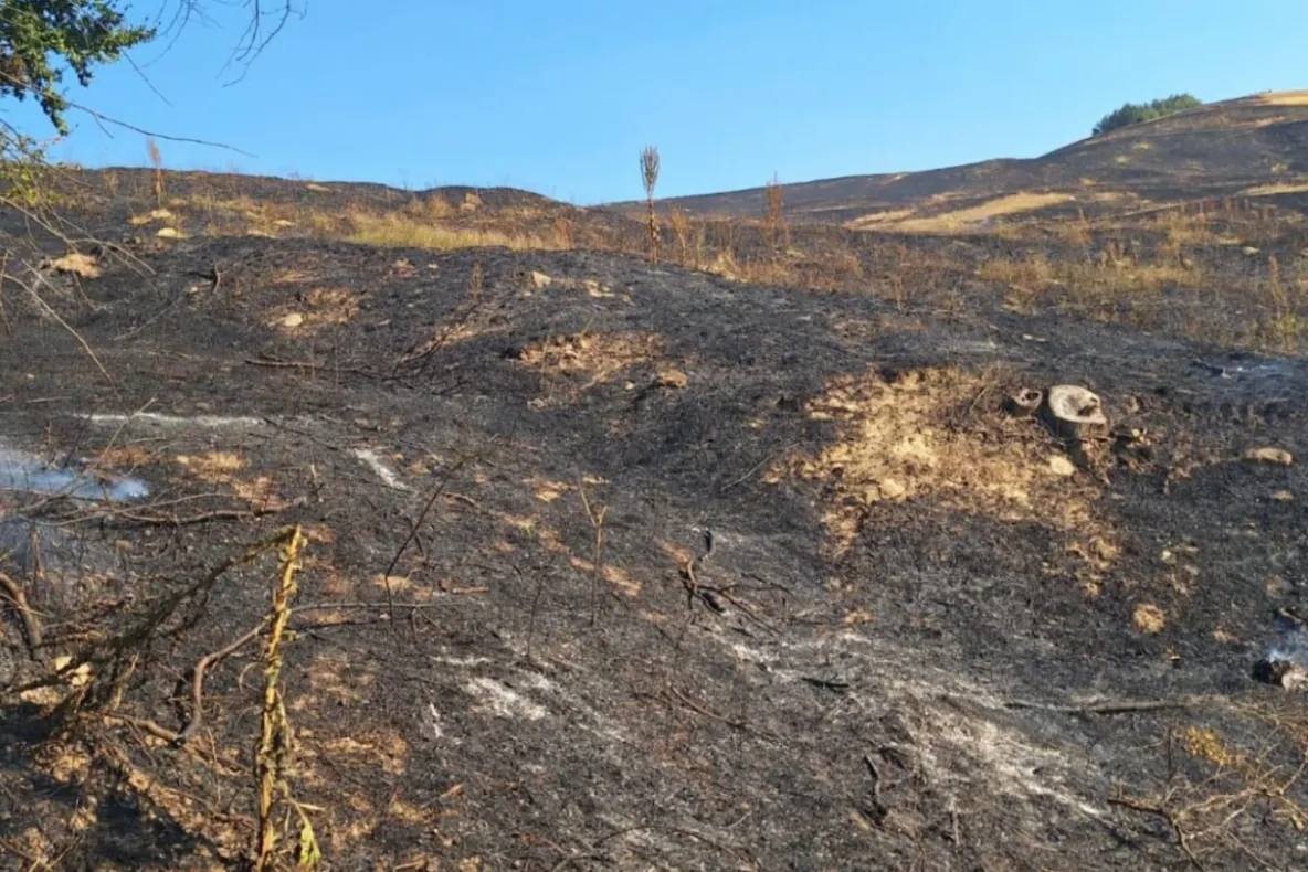 Incendiu la o fermă din județul Vaslui. 30 de hectare de pădure și vegetație uscată au fost mistuite de flăcări