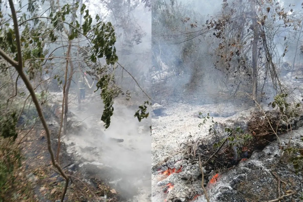 Incendiu de pădure lângă Plauru, în județul Tulcea. Romsilva: ”Localnicii spun că ar fi fost provocat de o dronă”-VIDEO