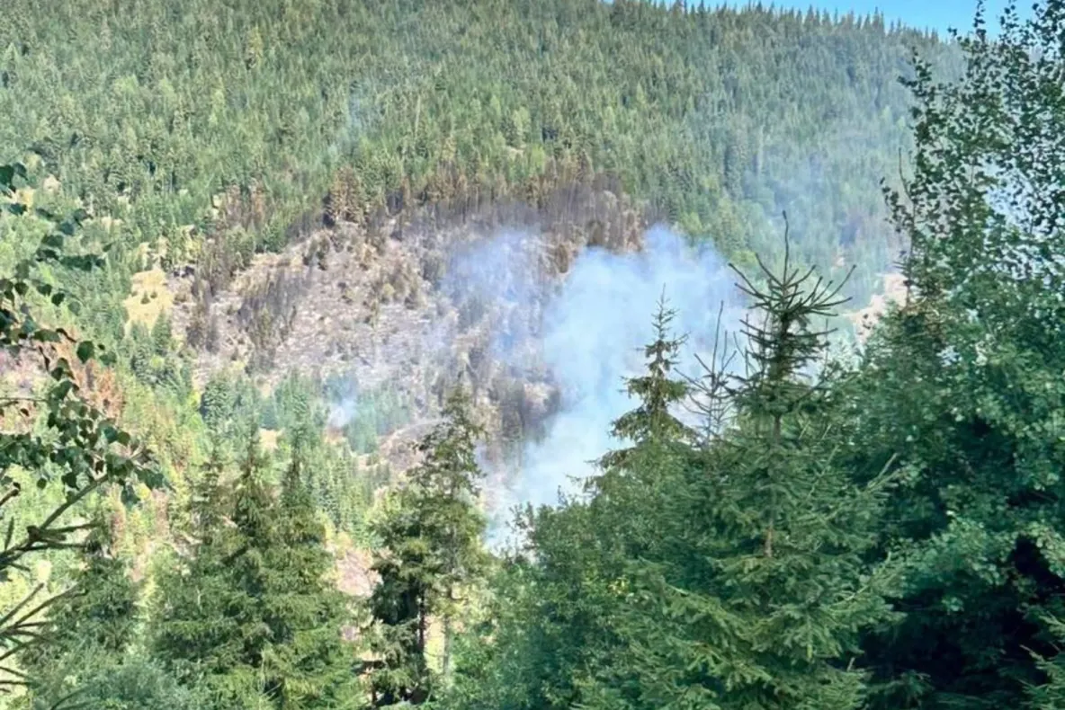 Incendiu de vegetație uscată și pădure la Mărișel, în Cluj. Terenul accidentat îngreunează intervenția pompierilor