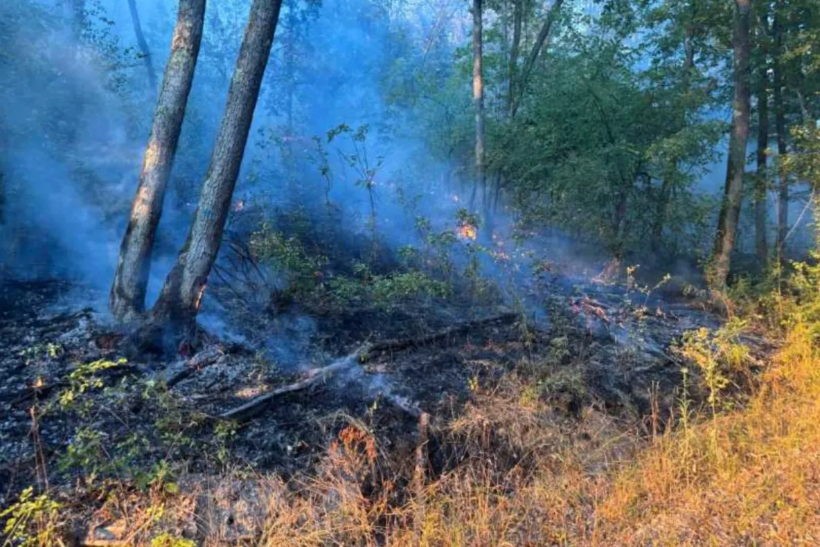 Incendiile de vegetație au făcut ravagii în Hunedoara.Peste 60 de hectare, mistuite de flăcări