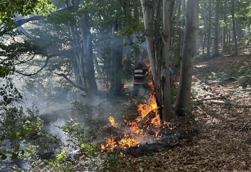 Incendiu de amploare în Mehedinți: peste 20 de hectare de pășune și pădure, afectate: intervin pompierii
