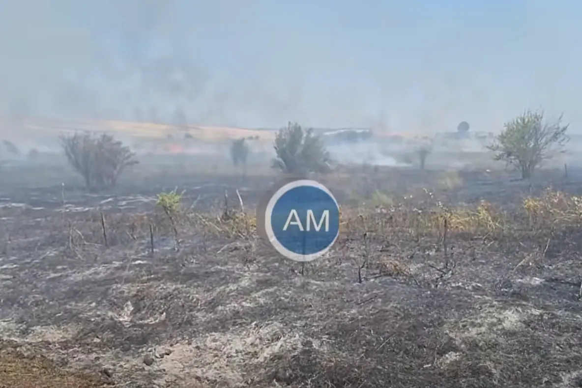 Incendiu violent în Mehedinți. Flăcările mistuit o plantație întreagă de viță-de-vie și au pătruns în pădure