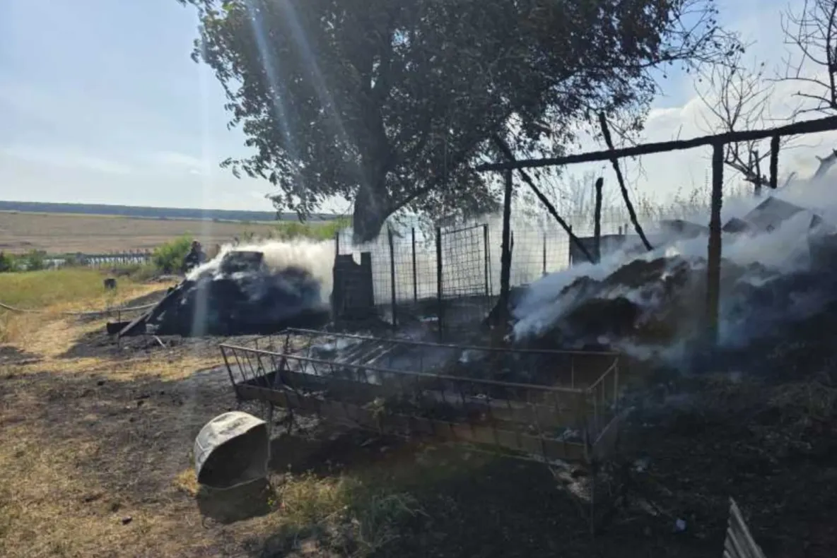 Incendiu într-o gospodărie din județul Botoșani. Animale moarte și peste cinci tone de furaje distruse