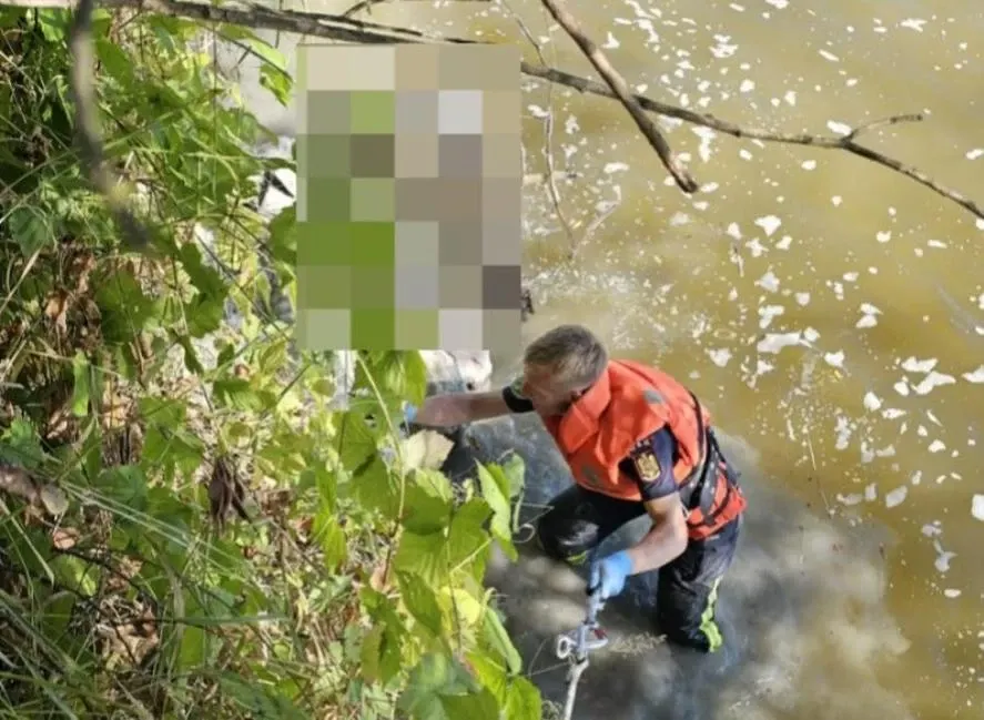 Zeci de oi au ajuns în râul Mureș. Pompierii au salvat 35 de animale: opt au murit